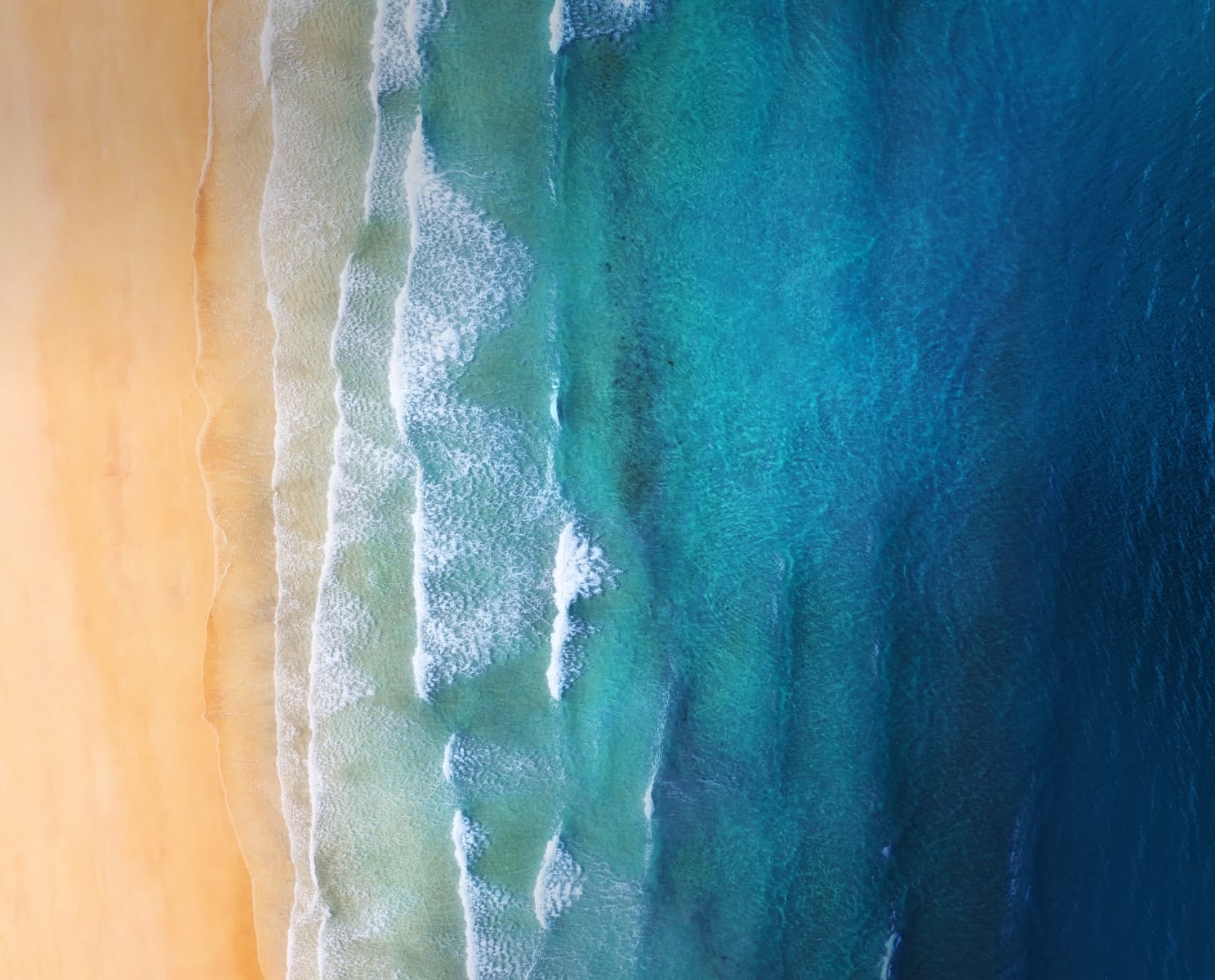 ocean and beach from above