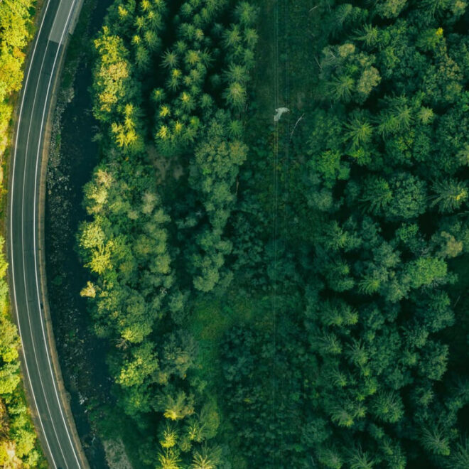Automotive