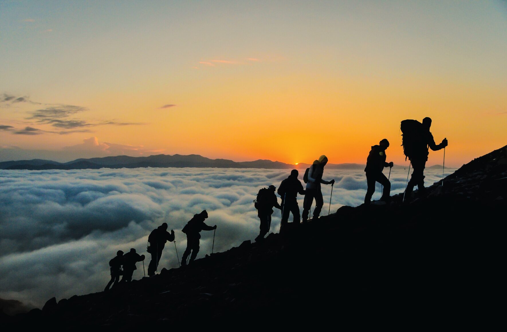 The Purpose-Driven Company: A Playbook for Growth
