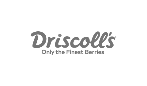 Driscolls