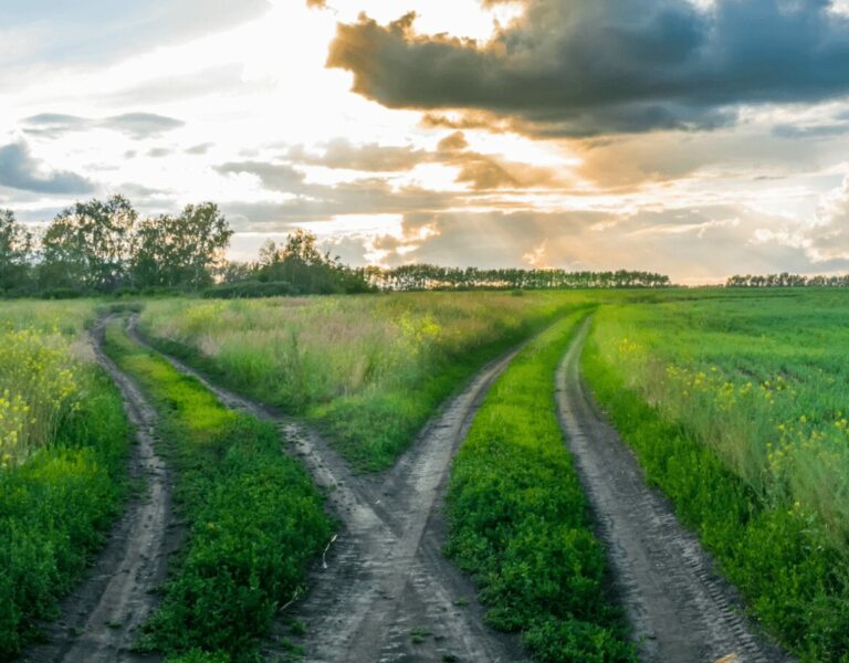 How Do You Plan for the Future When You Can’t Predict It?