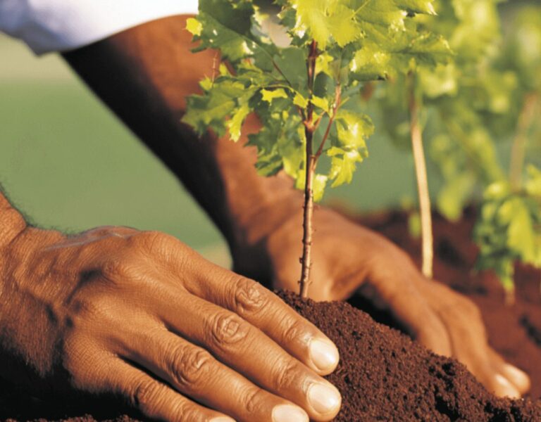 Three Levels of AI Transformation: The Path to Measurable Payoff