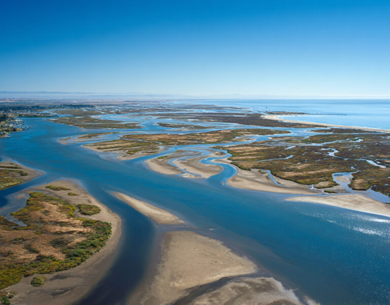 What the Pundits Missed About Tim Cook’s Leadership